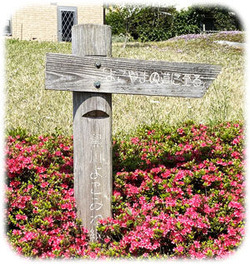 0�褳��ޤ�ƻƻɸ300