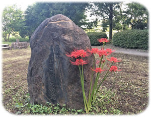 �ؼ�ڤ�����300