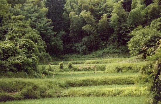 ��Įë����