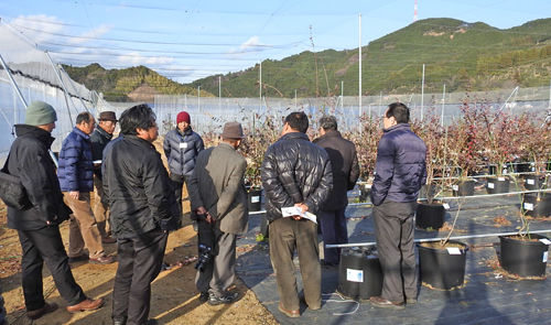 0������_500