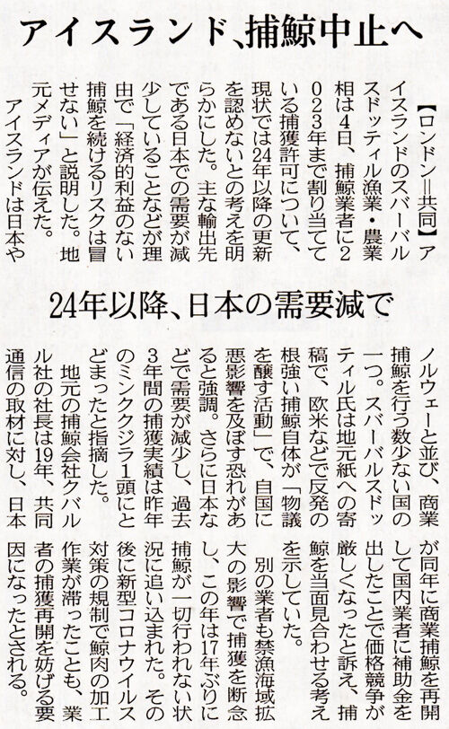 アイスランド500