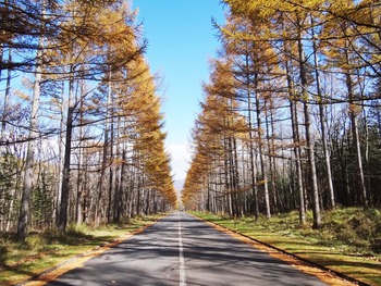 0����ޥĤ�ƻ