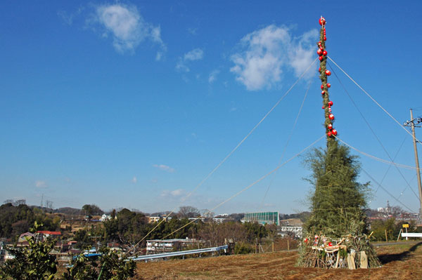 中のせいの神600