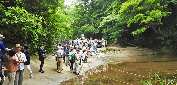 0濃溝の滝2500
