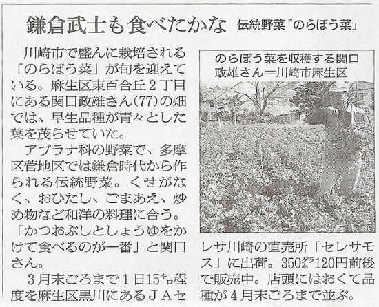 のらぼう菜朝日250313_edited-1