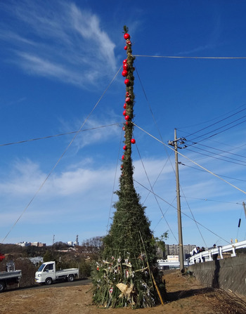�桡���Τ����ο���