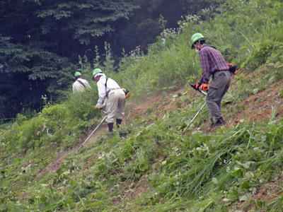 ���̤���