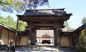 �����������350