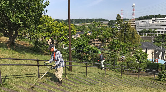 草刈り290521 700