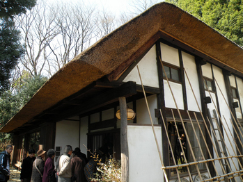 �����������������첰