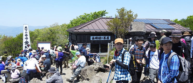 0金時娘の茶屋800