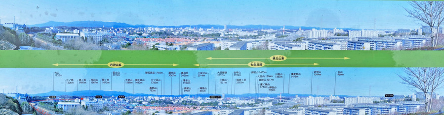 ���֤�ƽ�ѥΥ��2500