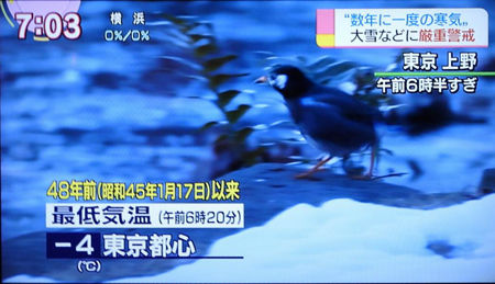 NHK1450