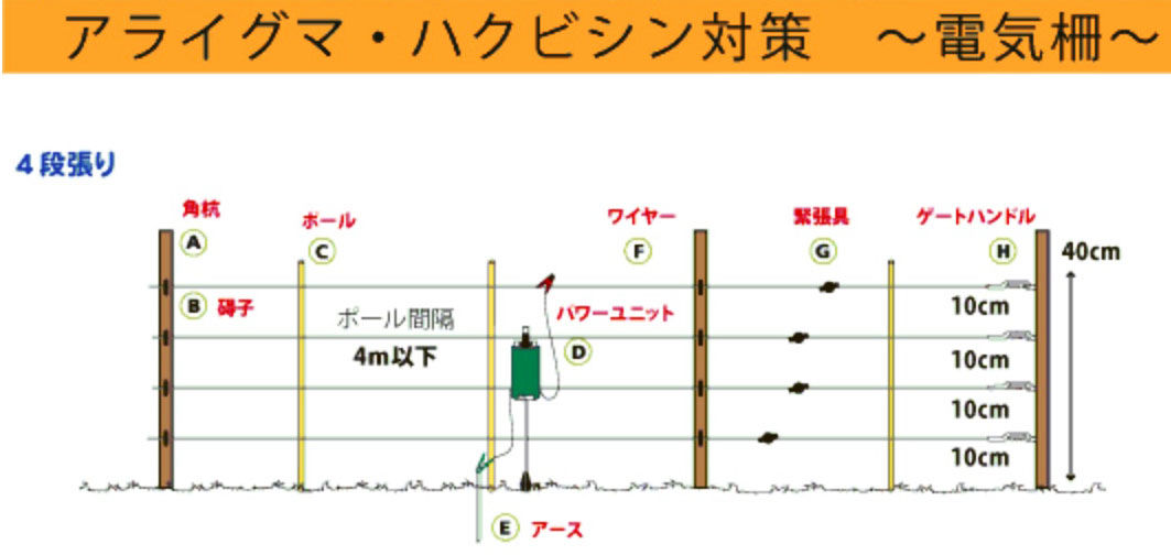 激安価格と即納で通信販売 ハクビシン 対策