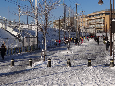 �й�����