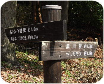 0������300