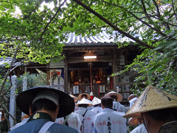 �����֡���������350