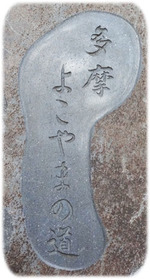 0�褳��ޤ�ƻ250