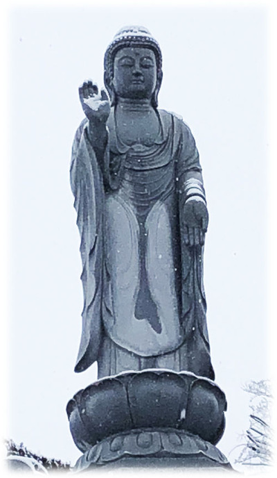 ������ʩ500