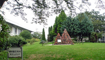 ��¼ľ�ʻ��˥����