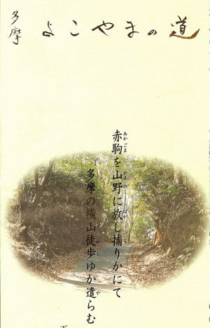 0�褳��ޤ�ƻ���ѥ�ե�å�ɽ��n300