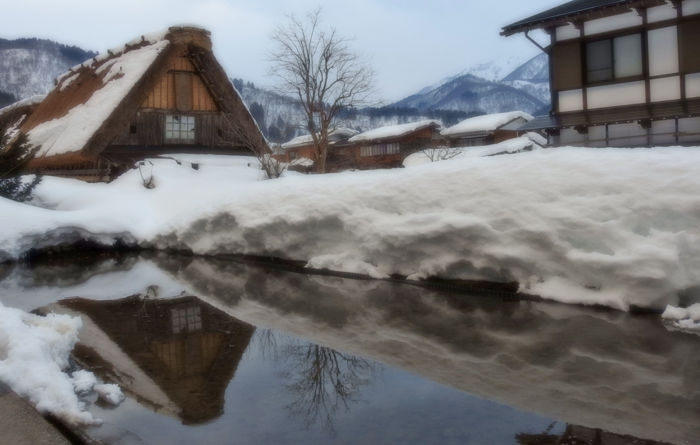 0�Ĥ�ܤ˱Ǥ�羸�Ȳ�700