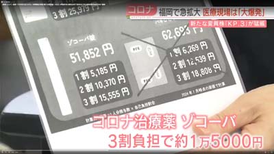 コロナ薬400