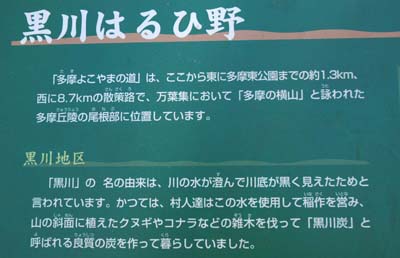 黒川はるひ野