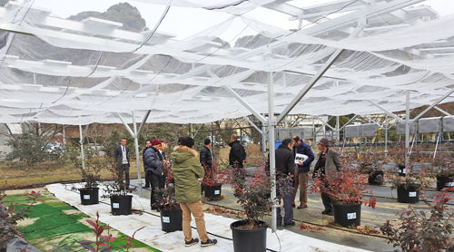 0���۸���500