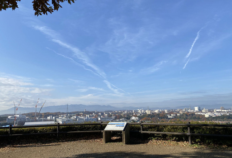 Ÿ˾����1951