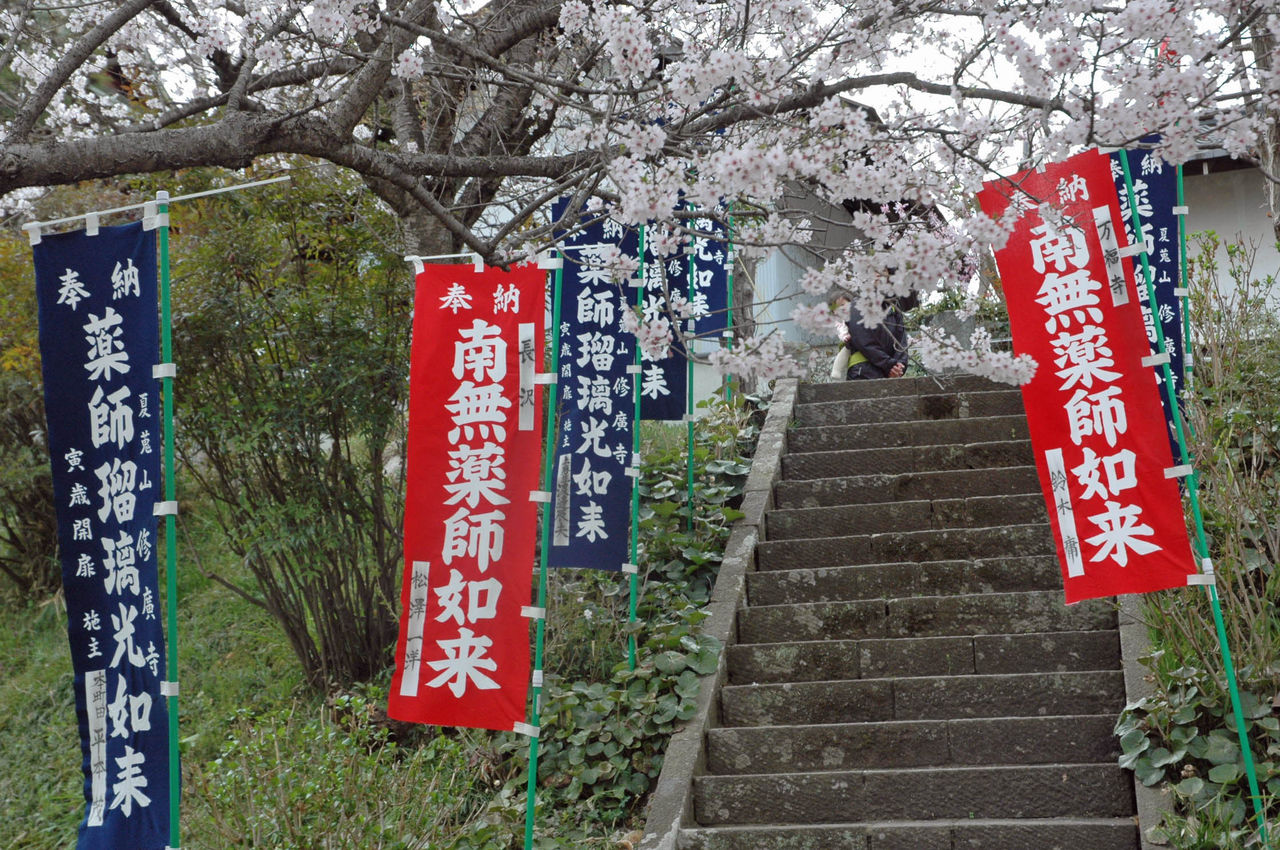 麻生区 はるひ野 若葉台 黒川の生活事典 花祭り お釈迦様の誕生日
