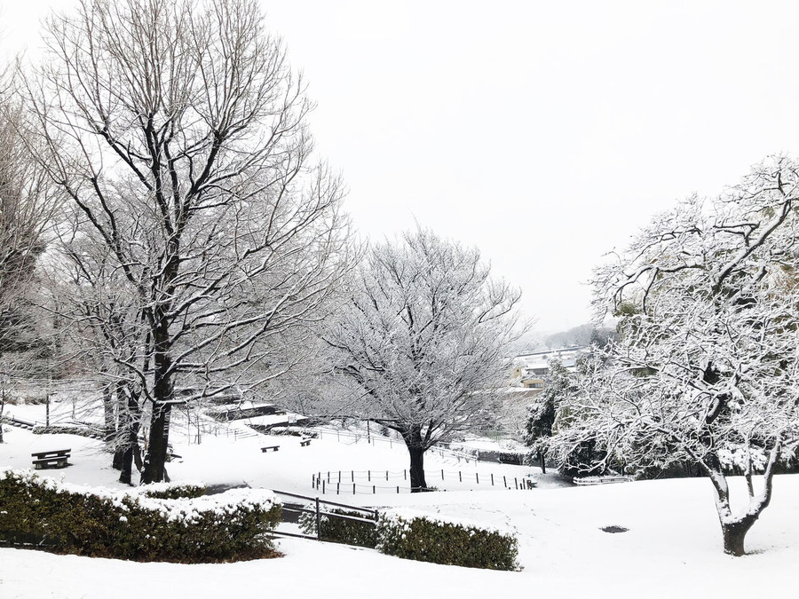 ��ε�ź�ߤΤ����