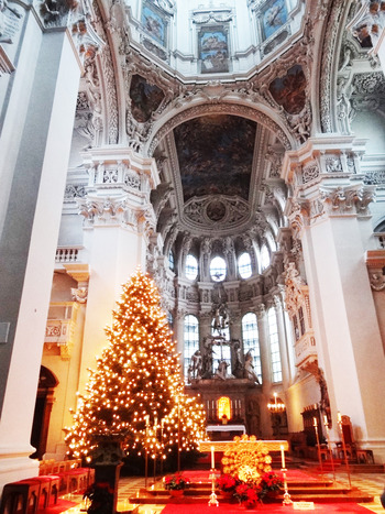 ����Ʋ������