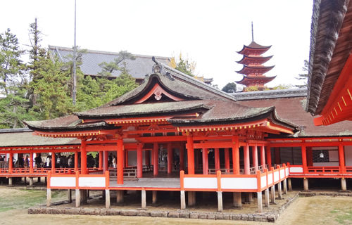 0神社1_500