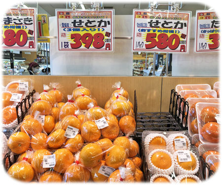 ���Ȥ��������500