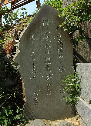 �滳��������