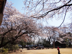 ʬ���κ���