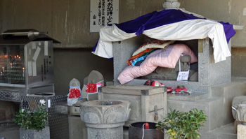 �̳�Ȭ�֡����륫�����350