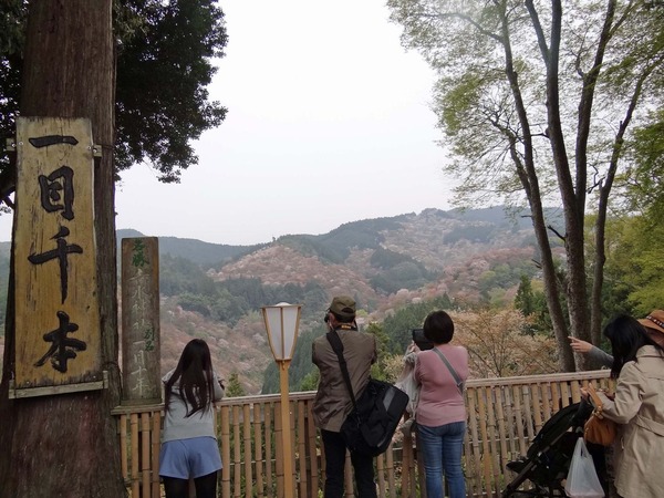 0吉水神社からの眺め
