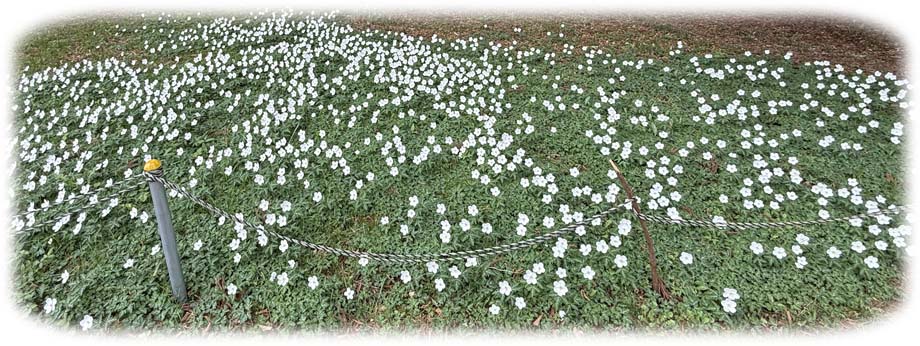 ������󤽤�920