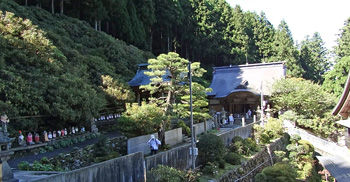 �����֡�������350