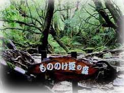 もののけ姫の森230