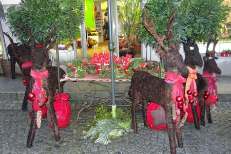 店先のトナカイたち