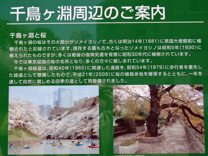 ��Ļ��ʥ���⣱