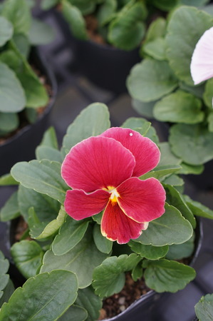 DSC06714