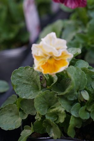 DSC03170