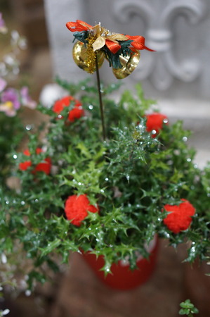 DSC00067