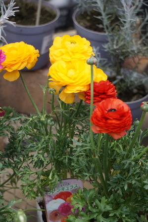DSC04830