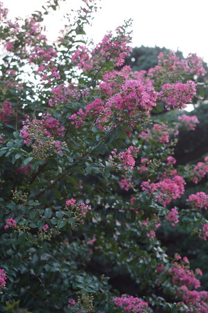 DSC03769