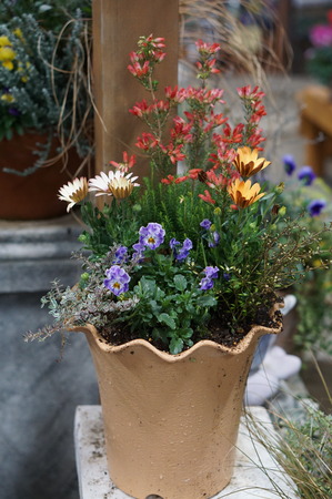 DSC00032
